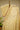 Cream Gajii Silk 4 Dana Bandhni Saree