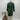 Green Cotton Satin Men’s Kurta