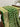 Green Georgette Jaal Bandhani Saree Sarees