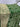 Green Georgette Jaal Bandhani Saree Sarees