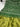 Pista Gajji Silk Single Dot Bandhani Saree green / Gajji Silk Sarees