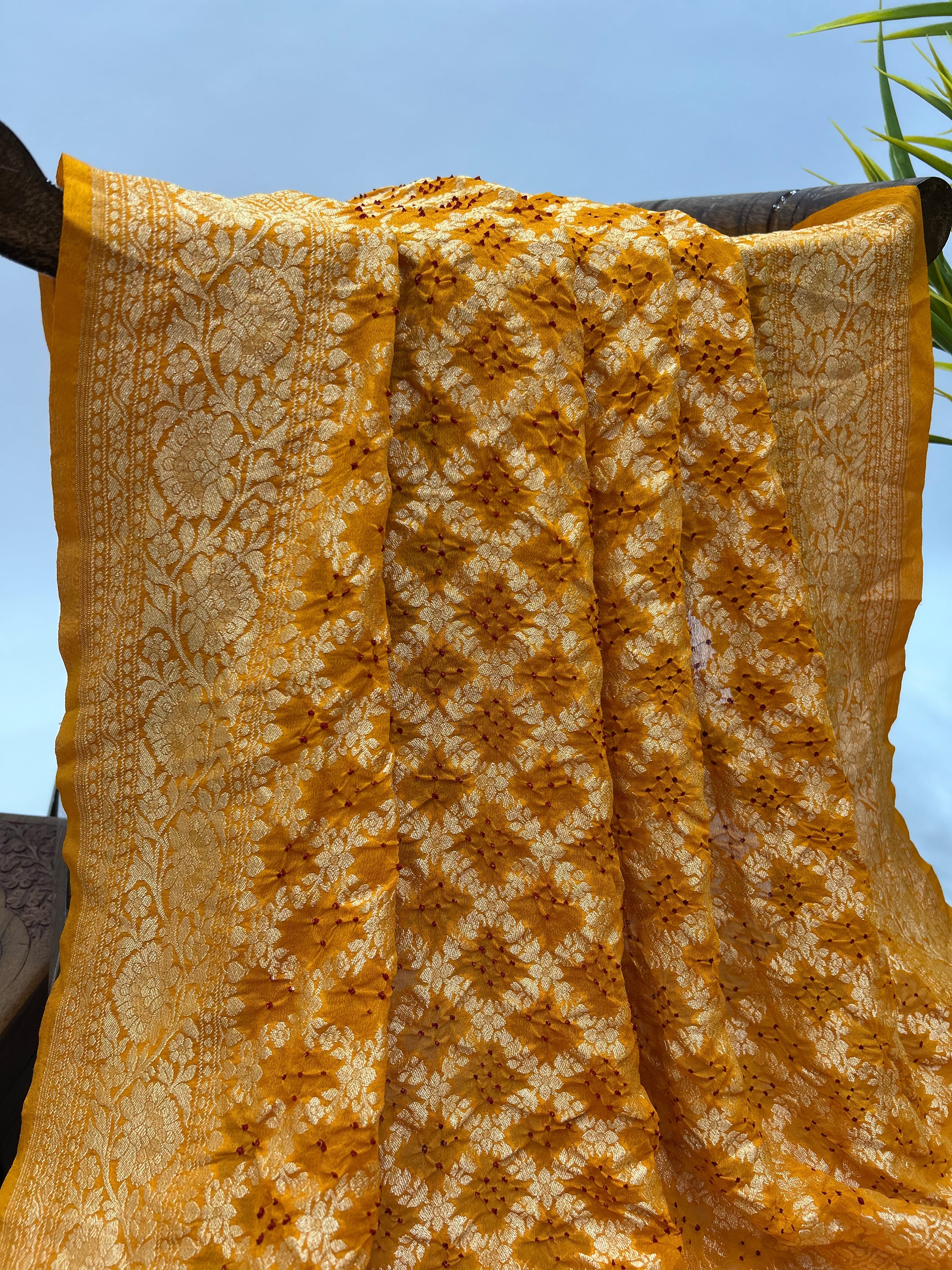 Mustared Marron Georgette Jaal Bandhani Saree orange / Georgette Sarees