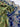 Navy Blue & Pista Art Dupion Butta Bandhani Dress Material navy / Art Silk Dresses