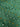 Green Cotton Satin Fabric darkgreen / Cotton Satin Fabric