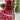 Nawabi Style Lucknowi Bandhani Silk Maroon Saree Sarees