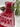 Nawabi Style Lucknowi Bandhani Silk Maroon Saree Sarees