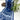 Timeless Blue Bandhani Gajji Silk Elegance Saree Sarees