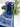 Timeless Blue Bandhani Gajji Silk Elegance Saree Sarees