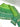 Parot Green-Rama Art Dupion Silk Chaniya Choli Material green / Art Silk Lehengas