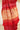 Red Gajji Fency Rai Bandhani Saree