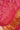 Mor Palav Bandhani Saree Gajji Silk In Rani