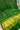 Single Dot Bandhani Dupatta Green In Gajji Silk