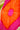 Chandrakni Bandhani Dupatta Rani And Orange In Gajji Silk