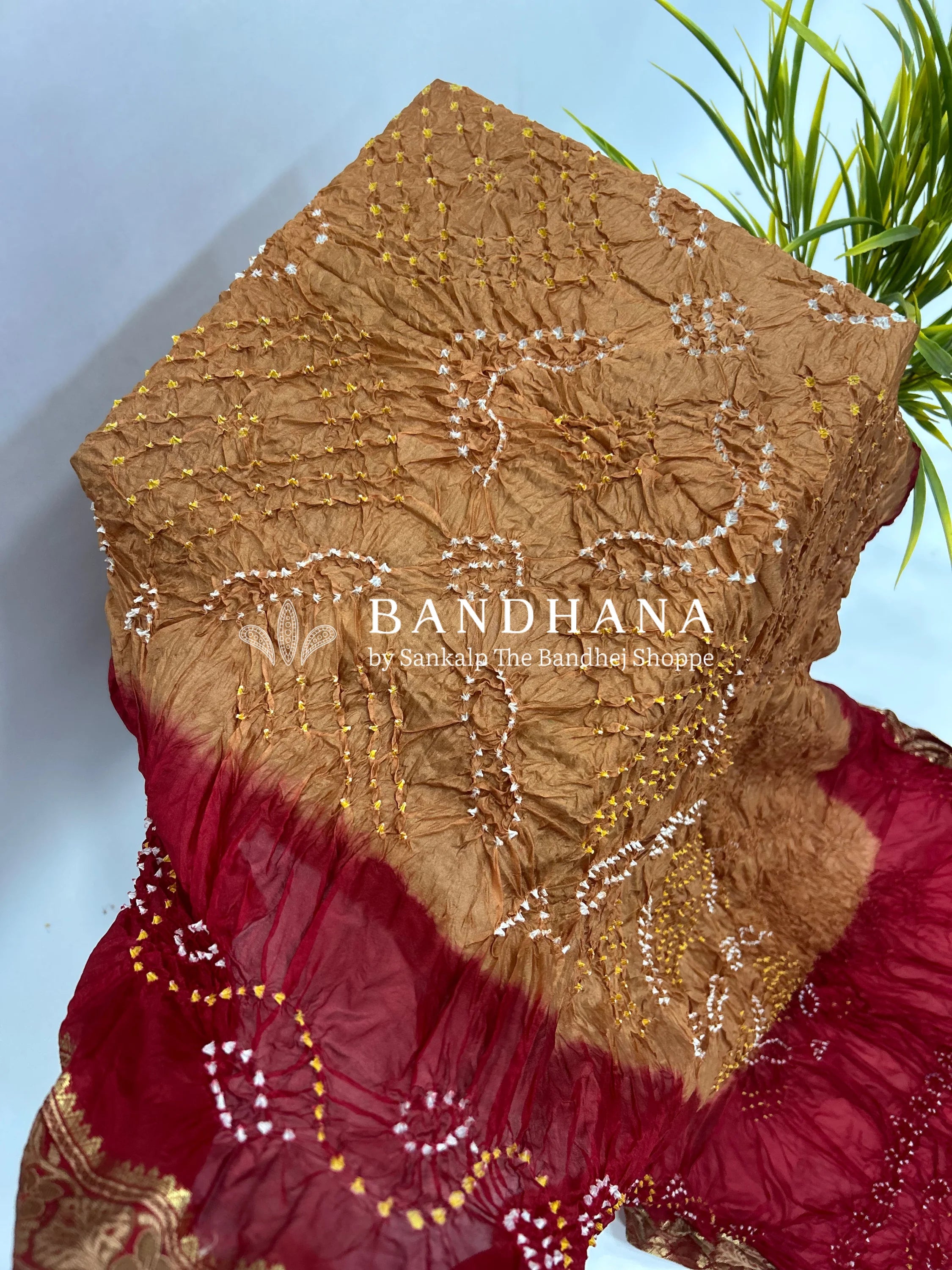 Chiku & Maroon Soft Silk Resham Palav Bandhani Saree peru / Soft Silk Sarees