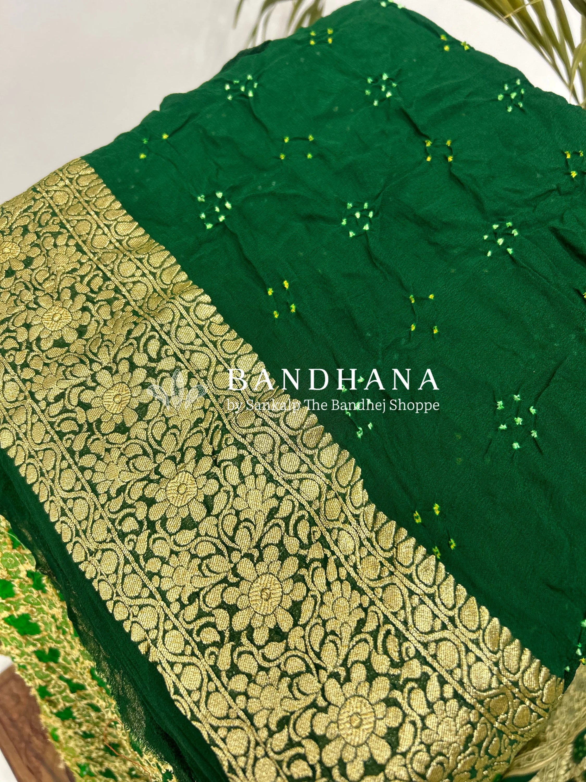 Green Georgette Jaal Bandhani Saree Sarees