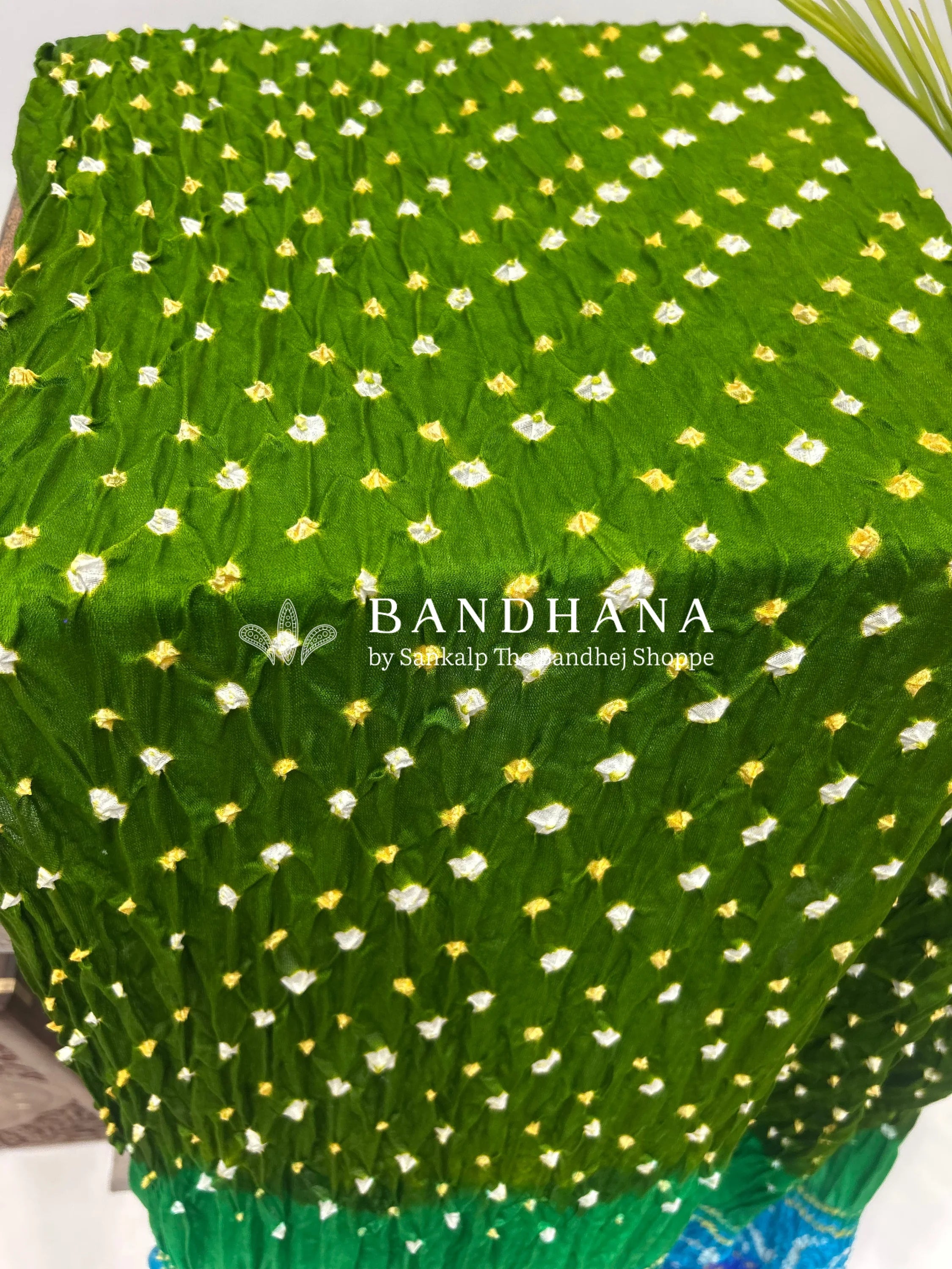 Mahendi Multi Colour Palav Gajji Silk Single Dot Bandhani Saree Sarees