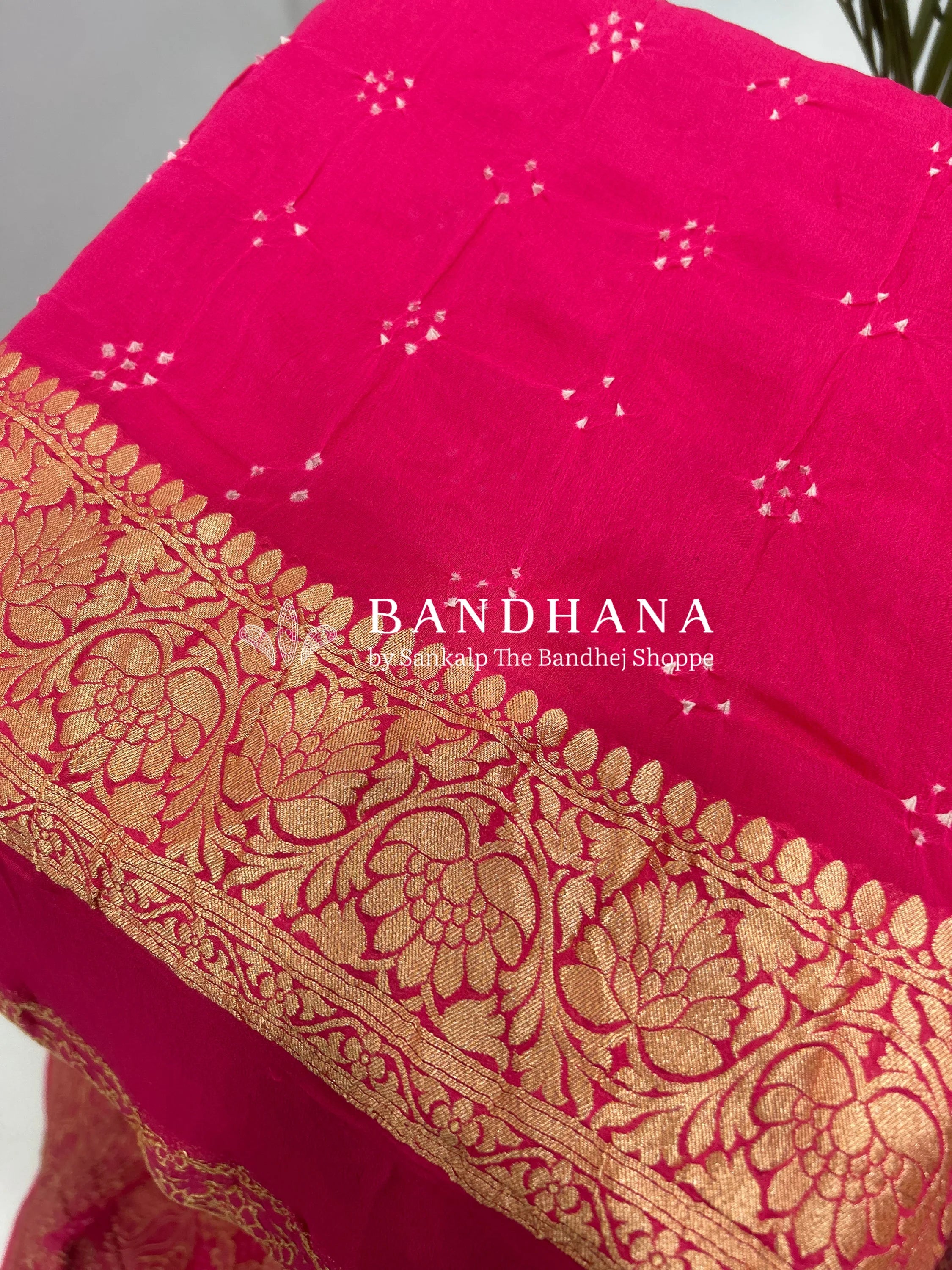 Olive Gajjri Georgette Jaal Bandhani Saree Sarees