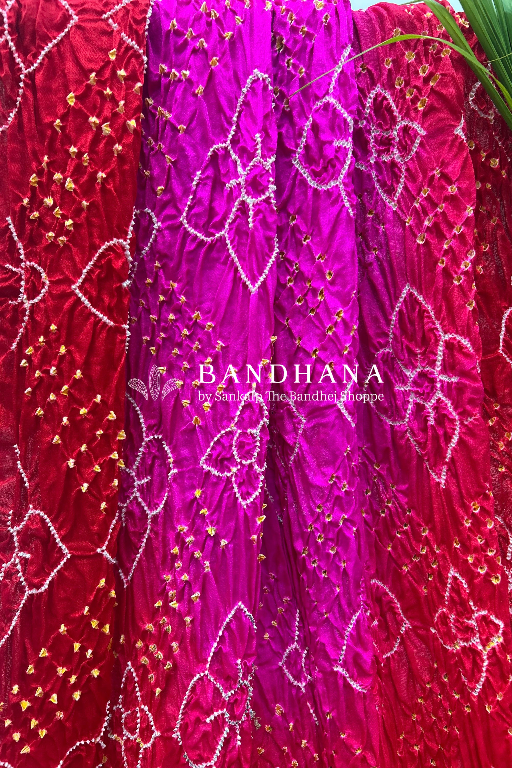 Pink Red Shaded Gajji Fancy Rai Bandhani Saree Sarees