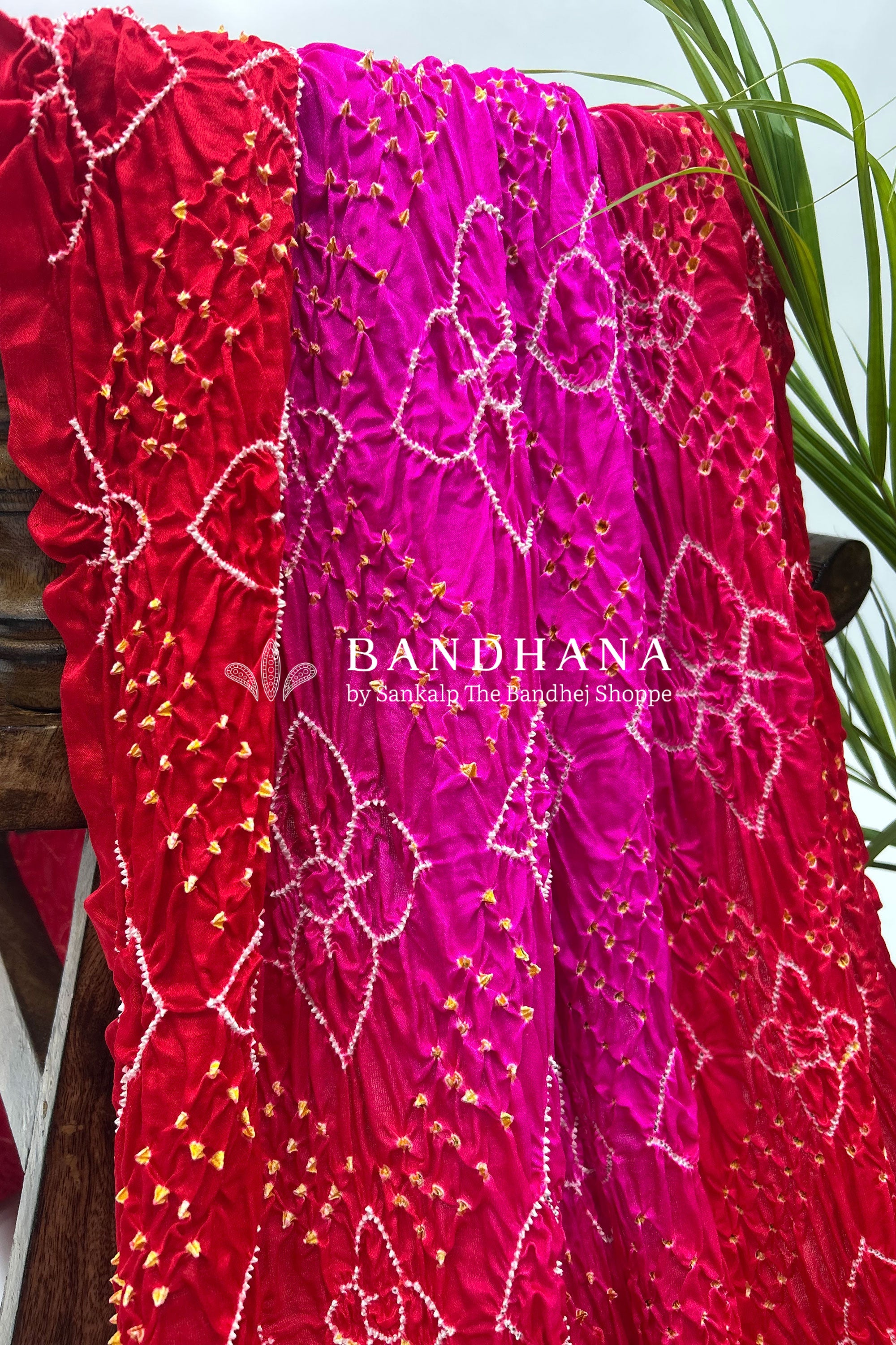 Pink Red Shaded Gajji Fancy Rai Bandhani Saree Sarees