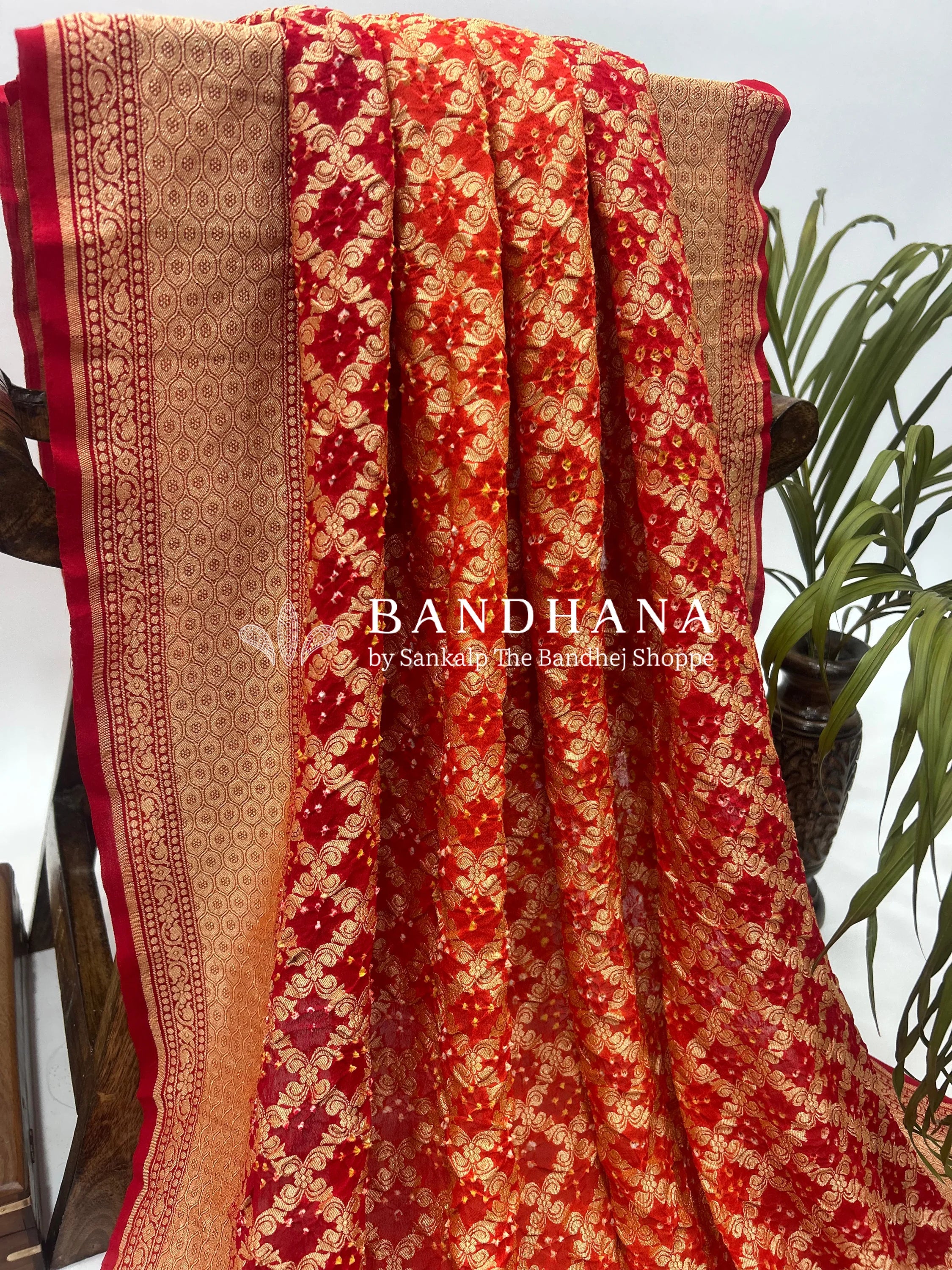 Red Georgette Jaal Bandhani Saree Sarees