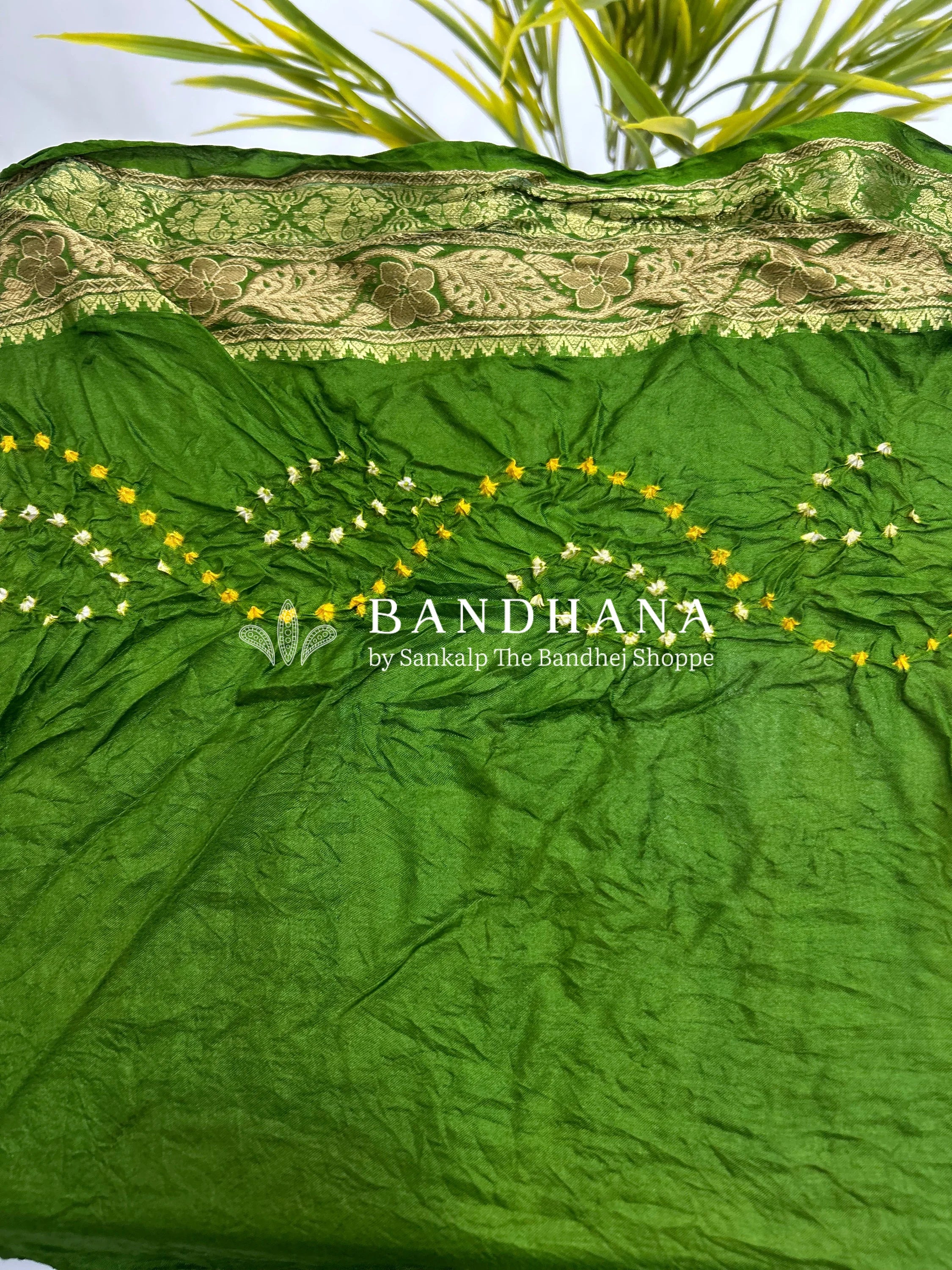 Rust & Mehandi Soft Silk Resham Palav Bandhani Saree orangered / Soft Silk Sarees